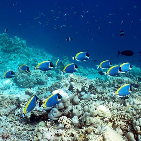 Ocean Village Maldives Holhudhoo Exterior foto