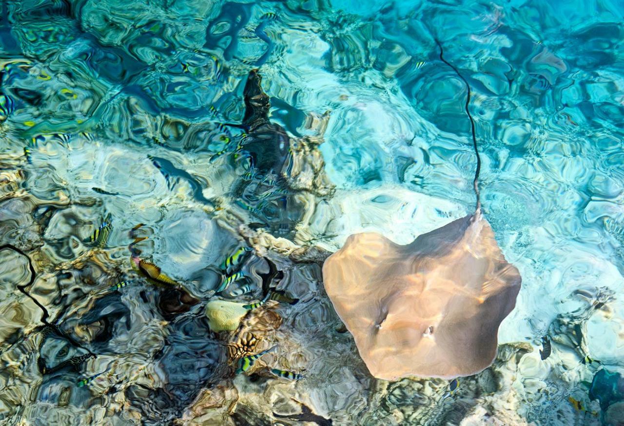 Ocean Village Maldives Holhudhoo Exterior foto