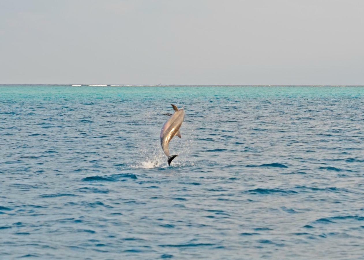 Ocean Village Maldives Holhudhoo Exterior foto